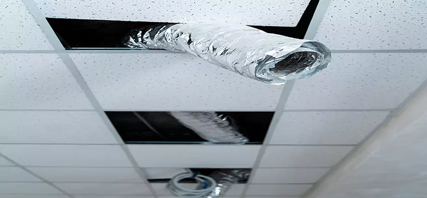 Our Air Duct Pet Hair Removal Services in Burlingame, CA