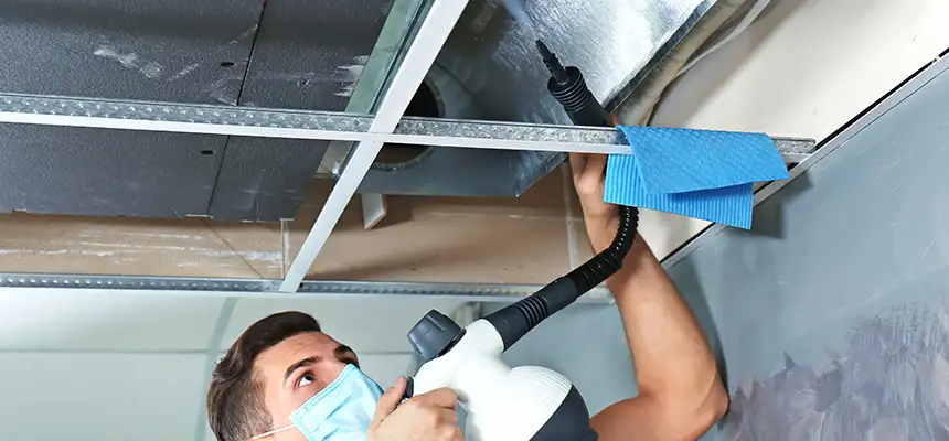 Our Air Duct Rodent Removal Services in Burlingame, CA