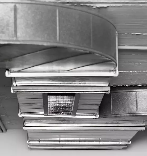 Professional Air Duct Pest Removal in Burlingame, CA