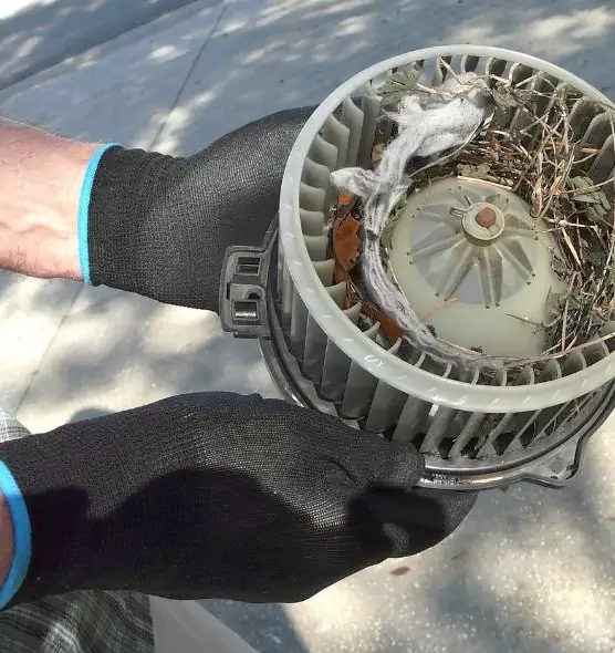 About Air Duct Rat Removal in Burlingame, CA