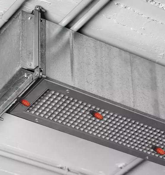 Affordable Insect Removal from Air Ducts in Burlingame, CA