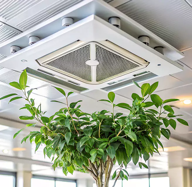 Why Homeowners & Businesses Trust Us in Burlingame, CA